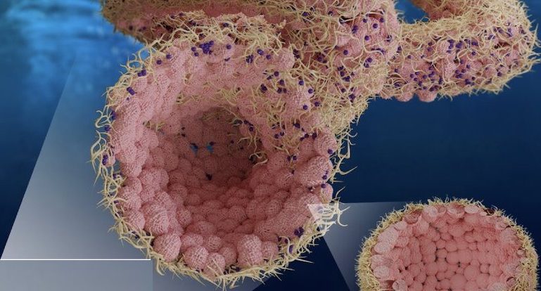 Aquabots in medicine