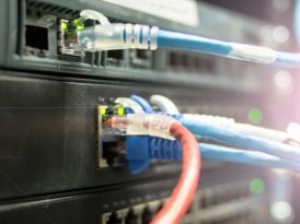 Nahaufnahme eines Netzwerk-Panels mit grünen Leuchtdioden sowie mit blauen und roten Kabeln