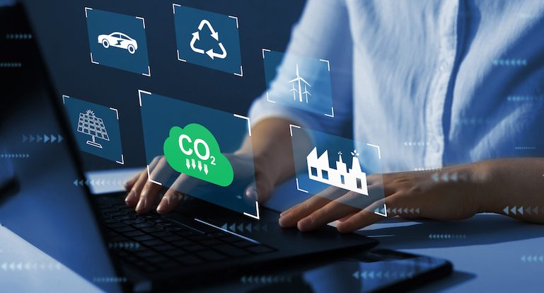 Sustainable development and green businesses