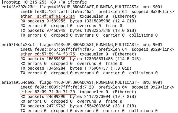 output ifconfig linux