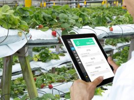 Smart agriculture, farm , sensor technology concept